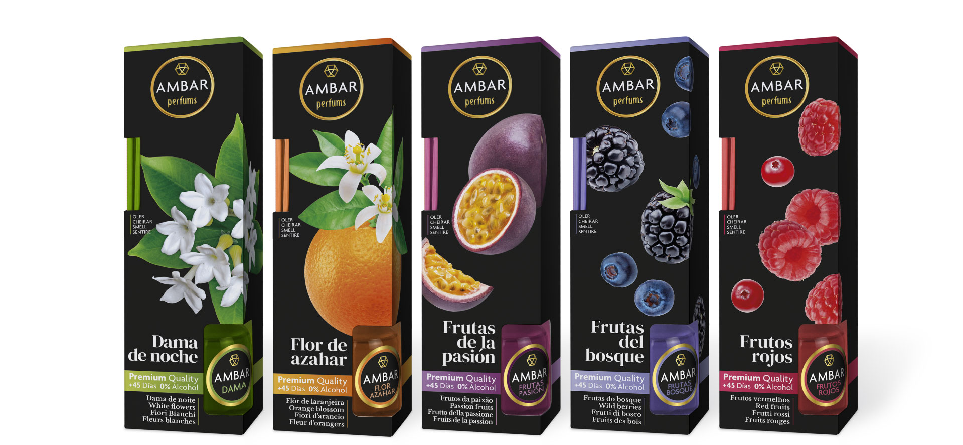 elebikoitza-ambar-mikado-gama1